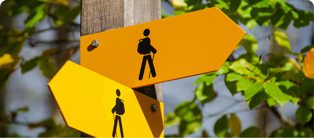 Quisque faucibus ex sapien vitae